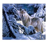 5D Diamond Painting Kits, Wolf White Snow Wolves Animals WOWDECOR Full Drill DIY Diamond Art Cross Stitch Paint by Numbers