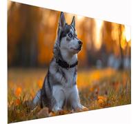 5D Diamond Painting Lawn Large Diamond Art Dog Picture DIY Square Full Drill Gem Art Crystal Embroidery Cross Stitch Set for Adults & Kids, Perfect for Wall Decor, Relaxing Hobby Gift 70x140cm Z1-652