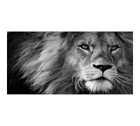 5D Diamond Painting Lion DIY Large Diamond Art Craft Painting Kits Full Drill, Square Crystal Rhinestone Embroidery Canvas Paintings for Adults Kids Gifts Home Wall Decor 32x88inch Z8411