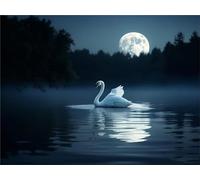 5D Diamond Painting Moon Swan Diamond Art Kits Adults, DIY Diamond Art Painting Kits for Kids/Beginners, Round Full Drill Rhinestone Gem Art Painting by Numbers for Home Wall Decor Gifts 40*50cm