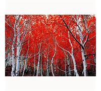 5D Diamond Painting Round Full Drill Kits Red Maple Leaf Tree Diamond Art Painting Crystal Rhinestone Embroidery Cross Stitch Mosaic Pattern Craft for Home Room Wall Decor Gifts 30x40cm/12x16inch