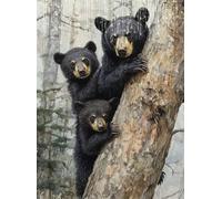 5D Diamond Painting Tree, DIY Bear Diamond Art Kits Adults Round Full Drill Gem Arts and Crafts for Adults kit Crystal Art Rhinestone Embroidery Canvas Painting for Wall Decor Gifts 20x28 inch Q4-138