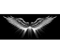 5D DIY Diamond Art Black, Diamond Painting Kits for Adults Wing, 5D Full Drill Crystal Gem Kits for Beginners, Crystal Art Crafts Pictures for Adults, House Decor, Spring Decor, Gifts, 24x12in 1-1630