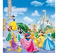 5D DIY Diamond Art, Cinderella Sleeping Beauty Princess Belle Diamond Art Kits for Adults Full Drill Round Diamond Gem Art Beads Painting for Kids Perfect for Home Wall Decor 11.8x11.8 inch