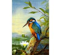 5D DIY Diamond Art, Kingfisher Lotus Beautiful Kingfisher Diamond Art Kits for Adults Full Drill Round Diamond Gem Art Beads Painting for Kids Perfect for Home Wall Décor 11.8x15.7 inches