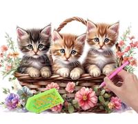 5D DIY Diamond Art Kits, Flowers Basket Cat Diamond Painting Kits for Adults, Round Full Drill Diamond Art Kits for Kids Crystal Gem Arts and Crafts Gifts for Wall Decor Home Office Decor 16x20in E562