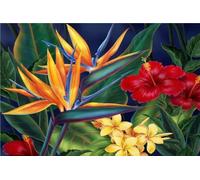 5D DIY Diamond Art Painting Kit Full Drill for Kids Adults, Bird Of Paradise Diamond Canvas Rhinestone Cross Stitch Crystal Arts Crafts Pictures Painting Kits for Home Wall Decor 12x24in Z-168