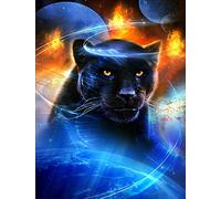 5D DIY Diamond Art Set Decorating Cabinet Table Stickers Crystal Rhinestone Diamond Embroidery Paintings Pictures for Study Room,Black Panther(30X40CM/14X16inch)