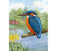 5D DIY Diamond Painting Art Set Kingfisher Square Crystal Rhinestone Full Drill Adults Kids Cross Stitch Embroidery Kits Mosaic Canvas Wall for Living Room Home Decor Crafts 30x40cm/12x16in C5752
