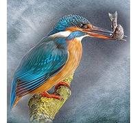 5D DIY Diamond Painting Full Drill Cross Stitch Kit - Kingfisher On A Branch, Diamond Painting Kits for Adults Rhinestone Embroidery Diamond Art 50x60cm