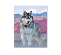 5D DIY Diamond Painting,Husky Dog,Full Round Diamond Embroidery Cross Stitch Rhinestone Mosaic Home Decor Gift 50x60cm