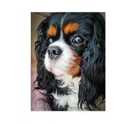 5D DIY Diamond Painting Kit Cavalier King Charles Spaniel Diamond Drawing for Adults Rhinestone Embroidery Art Home Wall Decor Full Drill (Size : 30x40cm)