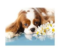 5D DIY Diamond Painting Kit Cavalier King Charles Spaniel Diamond Drawing for Adults Rhinestone Embroidery Art Home Wall Decor Full Drill (Size : 60x80cm)