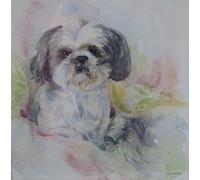 5D DIY Diamond Painting Kit Shih Tzu Dog Diamond Drawing for Adults Rhinestone Embroidery Art Home Wall Decor Full Drill