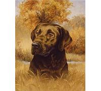 5D DIY Diamond Painting Kits for Adults Chocolate Labrador Dog Round Square Crystal Rhinestone Embroidery Cross Stitch Arts Craft Home Wall Decoration -30×40cm/Round Drill