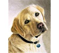 5D DIY Diamond Painting Kits for Adults Cute Yellow Labrador Dog Square Diamond Crystal Rhinestone Embroidery Cross Stitch Arts Craft Home Wall Decoration