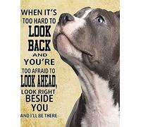 5D DIY Diamond Painting Kits for Adults Kids Beginner - Staffordshire Bull Terrier - Crystal Rhinestone Diamond Embroidery Paintings Great for Home,Office,Wall Decor -15.7×19.7inch(Round Drill)