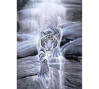 5D DIY Diamond Painting Kits Full Drill Large Size Adults/Kids by Numbers Cross Stitch White Tiger Diamond Art Embroidery Crystal Rhinestone Craft for Home Wall Decor Gift Square Drill,40x60cm