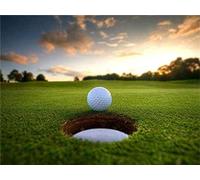 5D DIY Diamond Painting Kits, Golf Courses Scenery Diamond Art Full Round Drill Crystal Rhinestone Embroidery Pictures Arts Paint by Diamond Painting Kits Gift 30x40CM