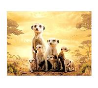 5D DIY Diamond Painting Kits Meerkat Family Full Drill Crystal Rhinestone Canvas Adults Cross Stitch Embroidery Mosaic Pictures Hand Crafts Wall Bedroom Home Decoration Gift 50x70cm/20x28in B7274
