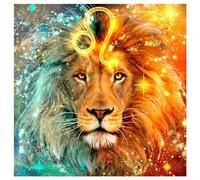5D DIY Diamond Painting Square Lion 15x15 inches Embroidery Rhinestone Cross Stitch Mosaic Pictures Painting by Numbers Full Drill Canvas Painting Craft Set Adults Children Home Decor 40x40cm