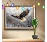 5D DIY Eagle Diamond Painting Kit,Full Drill Gem Art for Adults and Kids,Animal Rhinestone Cross Stitch Arts and Crafts,Home Wall Decor Gift,Crystal Diamond Art Painting by Numbers 50x40cm 58F-2703