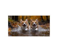 5D Dog Diamond Art Kits Adults Animal Diamond Painting, Crystal Art Cross Stitch Embroidery Kit 40 x 80 in, DIY Painting by Numbers with Colored Rhinestones, Hobbies for Adults Women, Gifts DZSH-7595