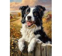 5D Excited Border Collie Diamond Art 12x16 Inch Full Drill Diamond Painting Kits for Adults & Beginners - DIY Art Crafts for Relaxation and Home Wall Decor 162