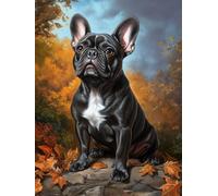 5D French Bulldog Diamond Art 12x16 Inch Full Drill Diamond Painting Kits for Adults & Beginners - DIY Art Crafts for Relaxation and Home Wall Decor A813