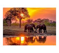 5D Full Round Drill Diamond Painting Kit DIY Kits for Adults and Beginner Embroidery Arts Craft Elephant in The Sunset 15.7x11.8 in by LANSUER