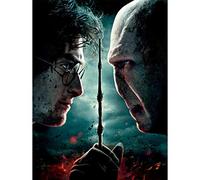 5D Harry vs. Voldemort Diamond Painting Kit, The Elder Wand Full Drill Cross-Stitch with Tools and Accessories