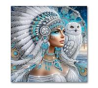 5D Irregularly Shaped Rhinestone Owl Diamond Art Painting Set, Diamond Art Kits Adults with Elegant Woman and Owl Design, DiamondArt Kit DIY Craft, Gem Artfor Living Room Bedroom Office Decor