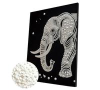 5D Pearl Painting Kits for Adults, DIY Pearl Gem Art Diamond Painting Kits for Beginners, Creativity DIY Pearls Dot Paintings, Home Decor Gift Diamond Dots Paintings Picture Arts Craft 30x40cm-CX271