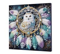 5D Pearl Painting Kits with Frame, 25x25cm DIY Pearl Gem Art Diamond Painting Kits for Adults Beginners, Creativity Pearls Dot Paintings, Home Decor Gift Diamond Dots Paintings Picture Arts Craft-02