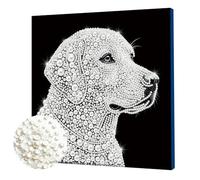 5D Pearl Painting Kits with Frame,25x25cm DIY Pearl Gem Art Diamond Painting Kits for Adults,Creativity Pearls Dot Paintings,Home Decor Gift Diamond Dots Paintings Picture Arts Craft-Golden Retriever