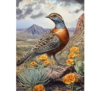 5D Quail in Desert Diamond Art 12x16 Inch Full Square Drill Kits for Adults and Crafts for Gifts and Home Wall Decor 532