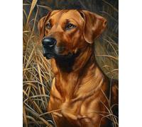 5D Rhodesian Ridgeback Diamond Art 12x16 Inch Full Drill Diamond Painting Kits for Adults & Beginners - DIY Art Crafts for Relaxation and Home Wall Decor A534