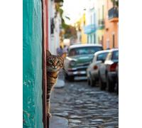 5D Street Diamond Painting Kits for Adults, Cat Diamond Art Kits Kids for Beginner, DIY Round Full Drill Gem Art Kit, Rhinestone Crystal Cross Stitch Craft Kit for Home Wall Decor Gifts 60x80cm H-96