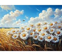5D Wheat Field Diamond Art Daisy Diamond Painting Kit for Adults Beginners, DIY Full Square Drill Crystal Art kits for Adults, Embroidery Cross Stitch Gem Painting for Home Room Decor 40x50 cm Q4-1475