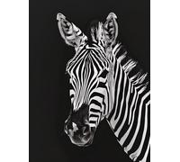 5D Zebra Diamond Art Animal Diamond Painting Kits for Adults, DIY Full Drill Diamond Art, Crystal Rhinestone Cross Stitch Arts and Crafts for Adults, Room Wall Decor, Gifts for Women (50x70 cm) A-6