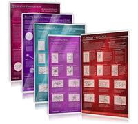 [5er Set - 2020] G-Punkt-Massage, Yoni-Massage, Lingam-Massage, Sanfte Klitorismassage, Weibliche Ejakulation: Ideal für die erotische Massage [5 Karten DIN A4 - 2seitig, laminiert]