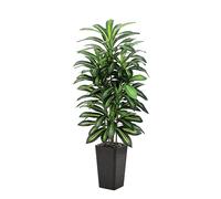 5FT Artificial Dracaena Plants, Tall Tropical Fake Plant with Black Tall Planter, 150cm Large Faux Artificial Yucca Tree in Pot for Indoor Outdoor Home Living Room Office Modern Decor