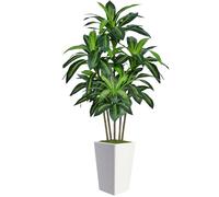 5FT Artificial Dracaena Tree with White Tall Planter, Lifelike 5 Trunks Leaves Artificial Plants Indoor, Large Fake Tree for Home Office Living Room Porch Patio Decor Housewarming