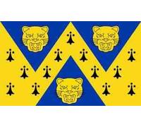 5ft x 3ft (150 x 90 cm) New Shropshire County 100% Polyester Material Flag