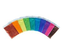 5g x10 Metallic Color Pigment Set (Set 2)