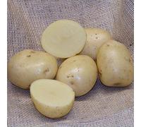 5Kg Freshly Dug July 2025! Irish Sharpe's Express Potatoes Delivered to Your Door. Sharpe's Express Potatoes, Ready to EAT! Fresh Harvest Grown With Love In Ireland
