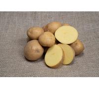 5Kg Freshly Dug October 2024! Irish King Edward Potatoes Delivered to Your Door. King Edward Potatoes, Ready to EAT! Fresh Harvest Grown With Love In Ireland