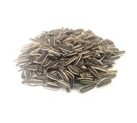5kg Medium Sunflower Seeds Cage Bird Food