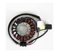 5LP-81410-01-00 ATV Generator Magneto Stator Coil Fit for Ymh YFM250 YFM660 660R Raptor 660 Big Bear 250 YFM660RP YFM250XR 25XS