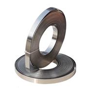 5m Stainless Steel Strip, Thickness 0.15mm/0.2mm Width 8mm 304 Steel Sheet Thin Steel Plate/Foil Corrosion Resistance, 1pcs(0.2mm)